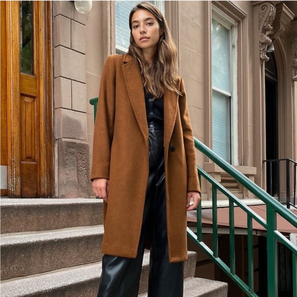 Aritzia Babaton Stedman Coat Lined